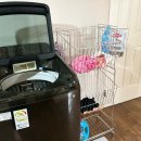 양드레몰 이미지