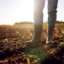 블루오션 이미지