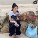 이미스 EMIS 이미지