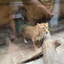 대전아쿠아리움 이미지