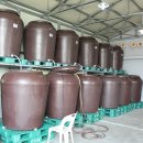 주식회사정치망1 이미지