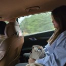 마산-구암-구-비-7 | [10월둘째주] 끝나지 않은 추석 연휴 일상 데이트