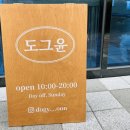 도그 윤 이미지
