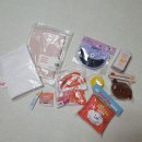 [BITE ME 반려동물 라이프 스타일 플랫폼] 강아지 키우는 집사라면 알면좋은 바잇미