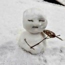 노원구 보건소 이미지