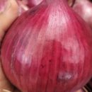 광평농장 이미지