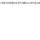 브라운랩 이미지