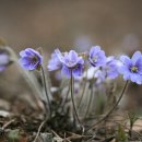 하얀꽃어린이공원 이미지