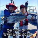 현참치 이미지