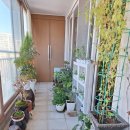 베란다 정원의 겨울모습 이미지