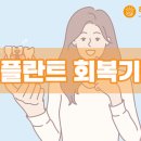 임플란트 회복기간, 어떻게 관리할까요?