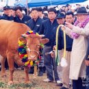 김영삼농장 이미지