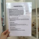 사랑둥이어린이집 | 합정파티룸 체리데이 합정점에서 아기 세돌 기념촬영 겸 생일파티 후기 주차정보