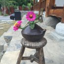 춘삼월목장 이미지