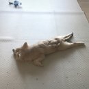(주)핫독 이미지
