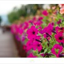 작은풍경 이미지