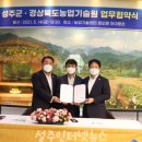 성주복사 이미지