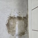 예일무용학원 | 은평구 예일발레학원 27평 바닥 송진가루 제거 청소