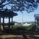 느티나무펜션민박 이미지