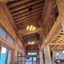 운암애견 이미지