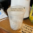 부평구청 지상주차장 | [부평구청 맛집] 일본식 라멘과 왕 부드러운 돈카츠를 같이 먹을 수 있는, ‘쿄우와’