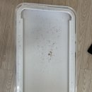 농산물도매시장관리사무소 화장실 | 원주입주청소[벨라시티2차] 비용·과정·후기 한번에 정리