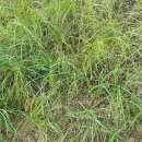 월야농장 이미지