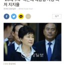 '20대 9%' 박근혜 대통령 사상 최저 지지율 이미지