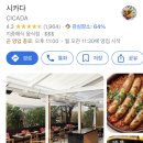 시카다(cicada) 이미지