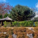 이케아 앞 횡단보도(2) 이미지