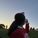 프레쉬 힐 | 8박10일 런던파리여행/Day 2] 삼만보 걸은 날의 마지막 일정 프림로즈힐 + 런던 아마존 프레쉬 구매후기