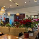 칸지고고 이미지