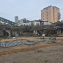 홍주천막사 이미지