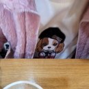 본죽 수성구청점 이미지