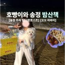 장모님닭강정 | 🐶강아지와 함께 부산 송정 밤 산책 ㅣ 문토스트, 꼬꼬 하와이 닭강정까지