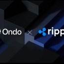 온도(ondo) 이미지