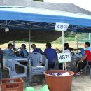 안정초등학교 이미지