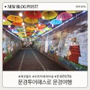 문경 오미자테마터널 | 문경투어패스로 아이와 문경여행 에코월드 문경오미자테마터널
