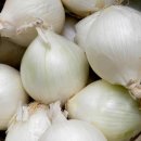 청풍한의원 이미지