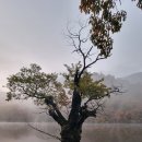 청송 주왕산 (주산지~절골~가메봉~주봉~용추협곡~대전사) 가을🍂 산행