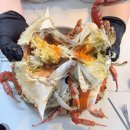 (주)씨앤케이종합서비스 | 인천 연안부두 종합어시장 꽃게 제철 암꽃게 맛집 옥천상회 내돈내산 후기 / 식순이의 선택