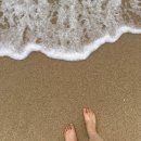 IGA 마트 강릉포남점 | 강릉 여행 오후-저녁 사근진해변-윙윙치킨-꼬막포차-숙소 먹보들의 여행 1박 2일 코스