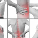 새사랑한의원 이미지