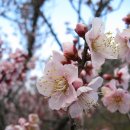 희망찬농장 이미지