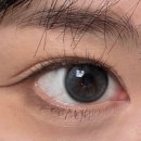 하파크리스틴 홍대점 | 하파크리스틴 돌리크리스틴 그레이 원데이 렌즈 후기