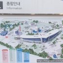 생생과학탐험 | [과천 아이와 가볼만한 곳] 겨울에도 딱! 국립과천과학관 1편 - 곤충생태관 생생 후기