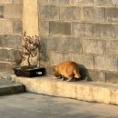 종로-종로-종로-종-307 | 일주일에 방탈출 네 번 갈긴 여성의 3월 둘째 주 봄 일기..★