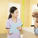 OK동물병원 이미지