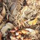 (주)동원테크 이미지