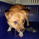 안골로108번길 이미지